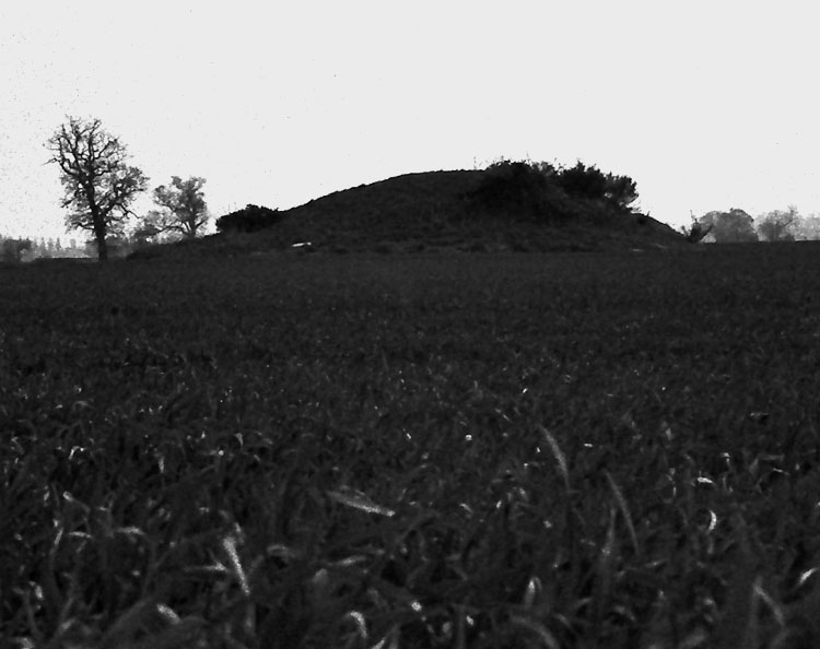 Click for the gallery page to add comments and vote (PID:18355) Round Hill Barrow