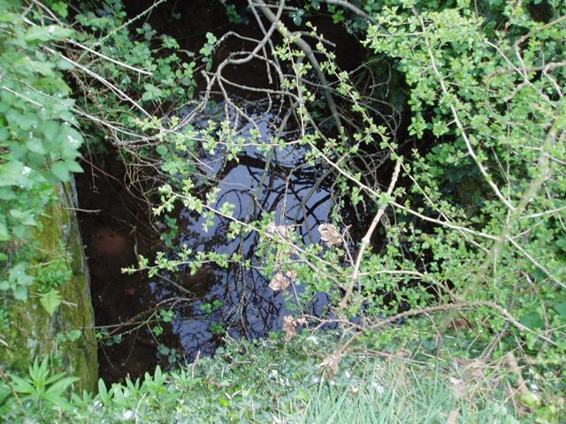 St Ann's Well (Repton)