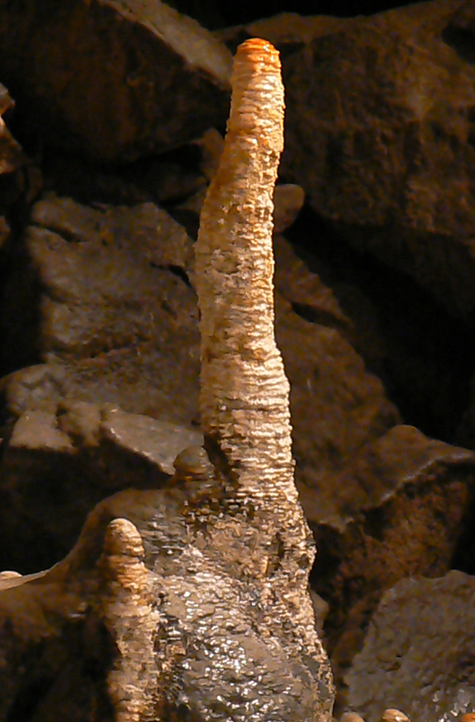 Click for the gallery page to add comments and vote (PID:131757) Poole’s Cavern