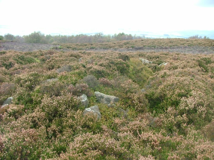 Stanton Moor Cairn T13