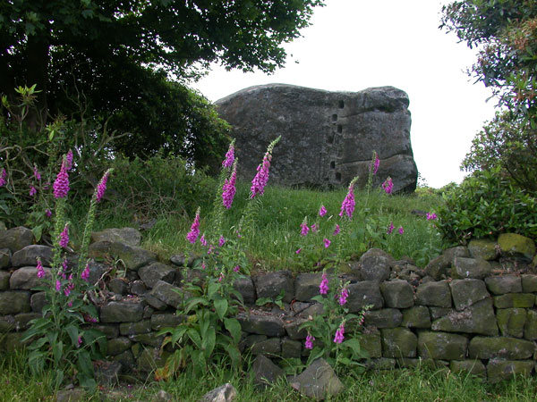Click for the gallery page to add comments and vote (PID:15291) Andle Stone (Stanton Moor)
