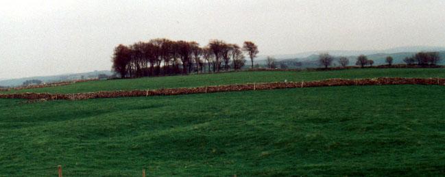 Click for the gallery page to add comments and vote (PID:211) Arbor Low 2