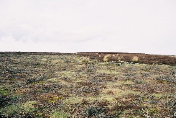 Moscar Moor