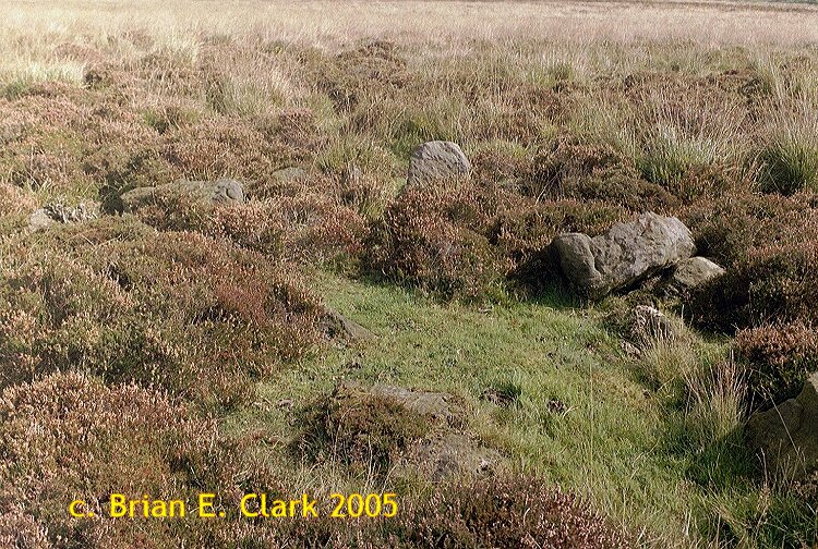 A set of photographs of the numerous cairns, cysts, barrows etc, which are located on Big Moor, Derbyshire.

Most of these can be found with a bit of diligent search near to the Barbrook circles. I did not log the co-ordinates
of each site. 

Can any eagle eyed readers identify any of the sites shown here more exactly?