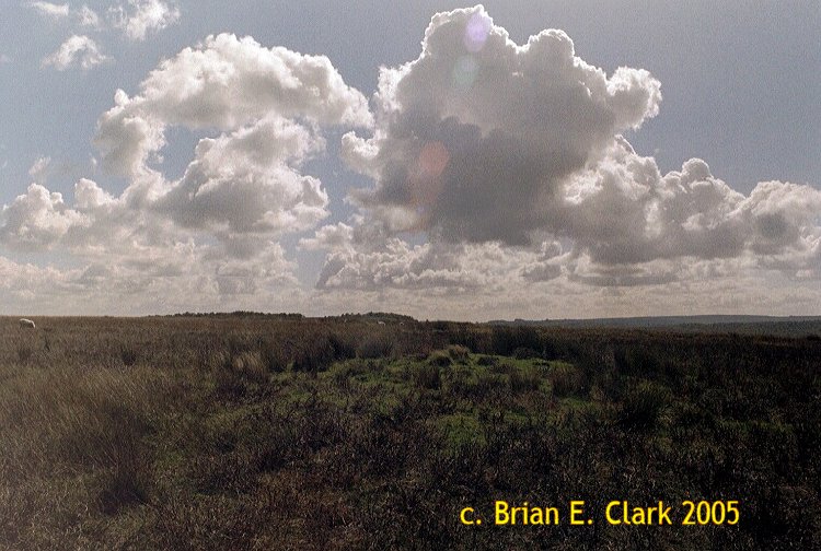 Click for the gallery page to add comments and vote (PID:15355) Big Moor