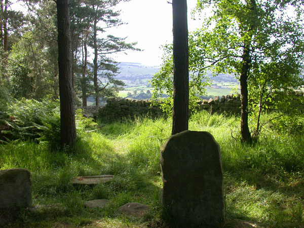 Doll Tor