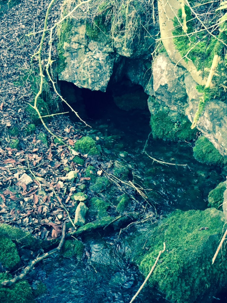 Lud well (Hartington)
