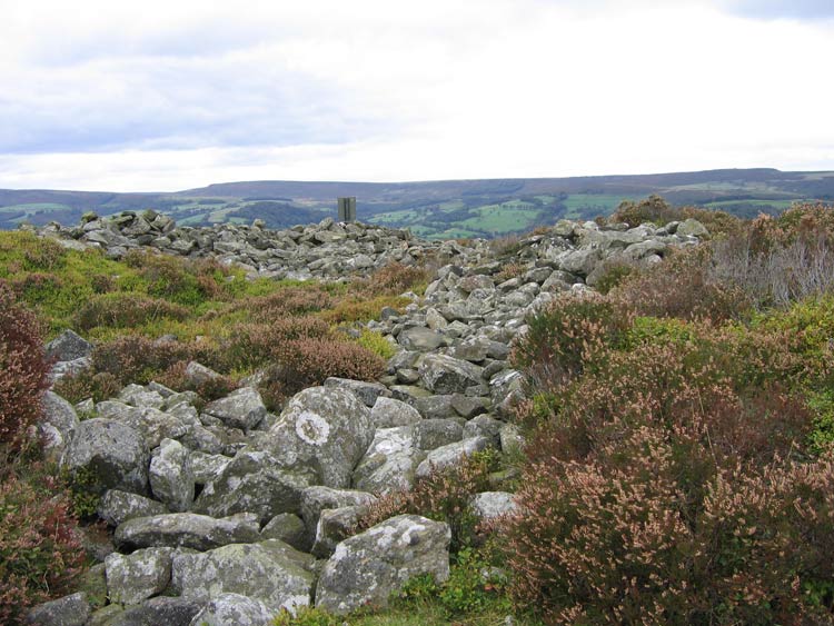 Eyam Moor Barrow