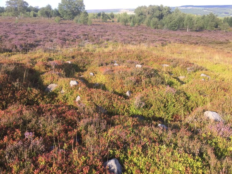 Click for the gallery page to add comments and vote (PID:184753) Stanton Moor Cairn T25