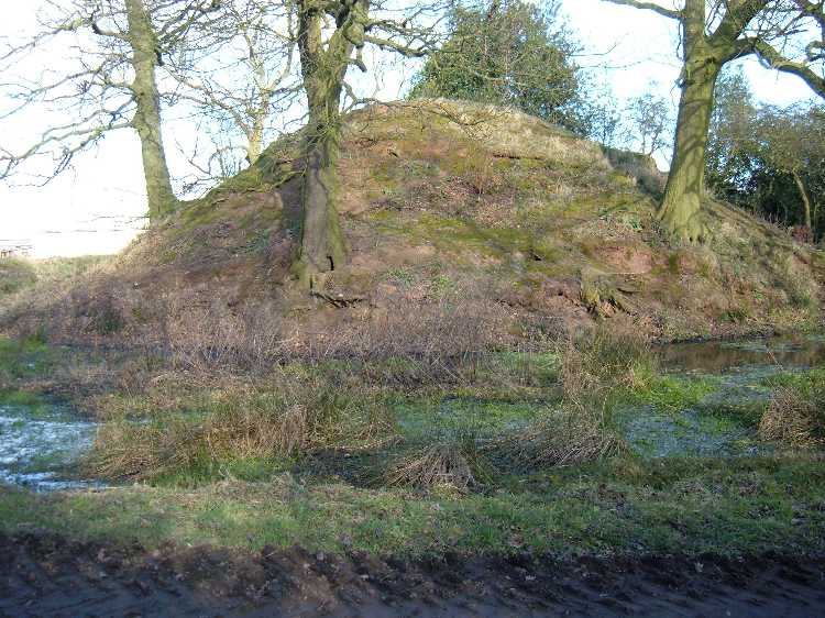 Morley Moated Mound