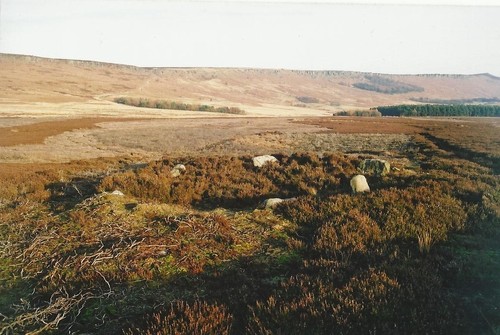 Click for the gallery page to add comments and vote (PID:105508) Bamford Moor South
