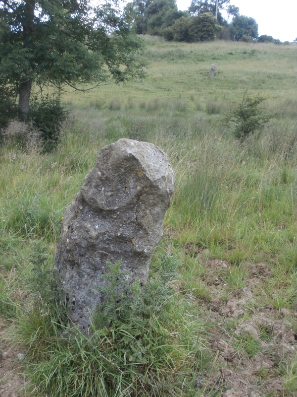 Horsedale Standing Stone