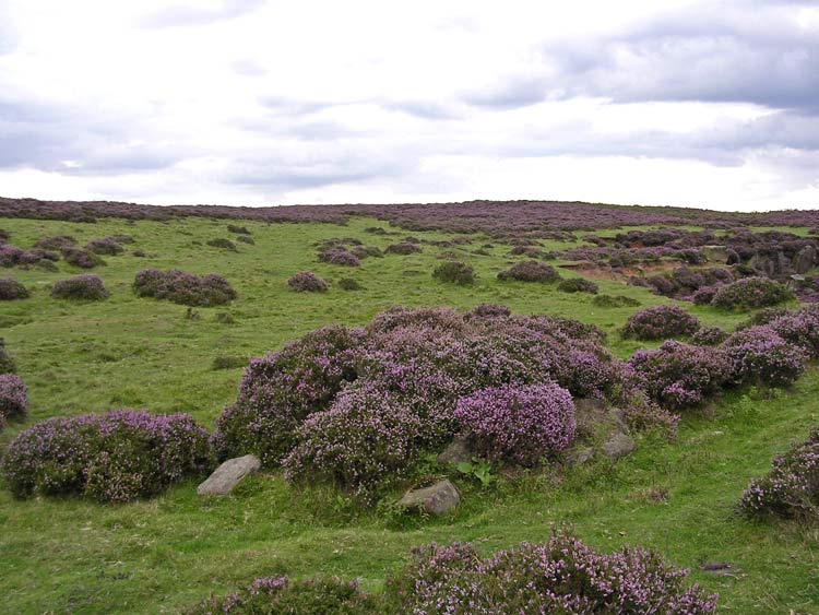 Stanton Moor Cairn T14