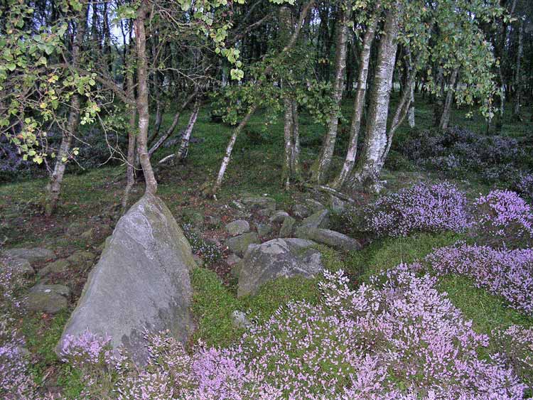 Click for the gallery page to add comments and vote (PID:12760) Stanton Moor Cairn T24