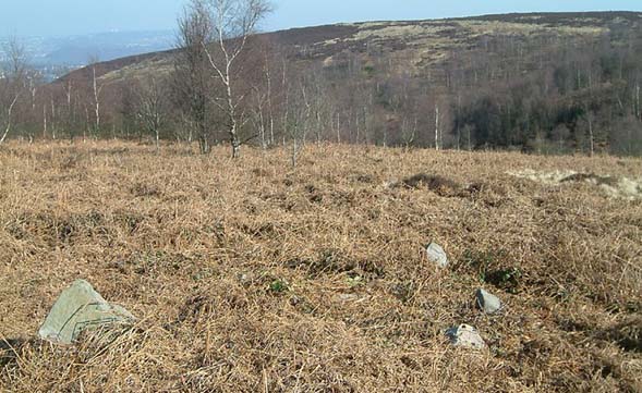 Click for the gallery page to add comments and vote (PID:2460) Strawberry Lea