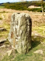 Stoke Flat - PID:226433