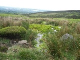 God's Spring - PID:111084