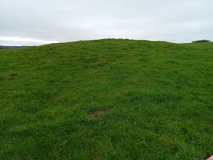 Calton Pasture
