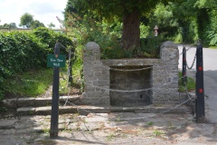 Yew Tree Well