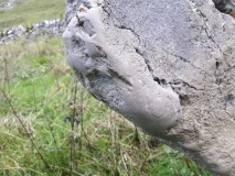Pilsburry holed standing stone