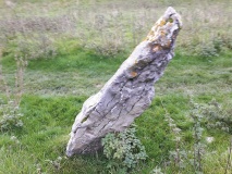 Pilsburry holed standing stone - PID:205369 Pilsburry holed standing stone - PID:205369