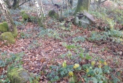 Dudwood - PID:220276