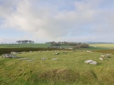 Arbor  Low 1 - PID:275414