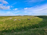 Arbor Low 1 - PID:232970