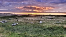 Arbor Low 1 - PID:260895