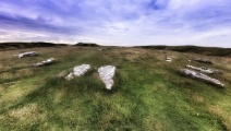 Arbor Low 1 - PID:260894