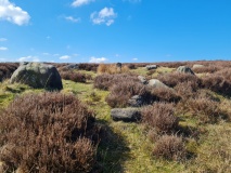 Bamford Moor South