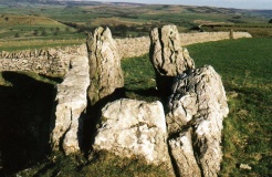 Five Wells