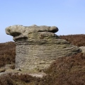 Druids' Stone - PID:97136