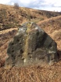 Barbrook Cupmarked Stone - PID:179451