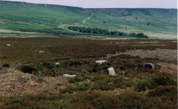 Bamford Moor South