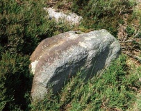 Bamford Moor South