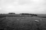 Arbor Low 1 - PID:34286