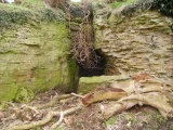 Ash Tree Cave - PID:37053