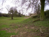 Ash Tree Cave - PID:37052
