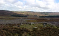 Bamford Moor South - PID:67218