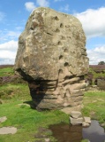 Cork Stone