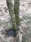 Gardoms Edge 2 (Baslow)