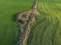 Moneystones