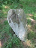 Doll Tor