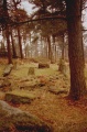 Doll Tor - PID:44598