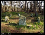 Doll Tor submitted by rldixon