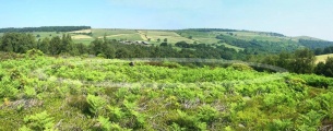 Ewden Beck - PID:21768