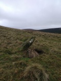 Foxlowe Edge