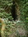 Markland Grips Cave - PID:37380
