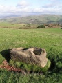 The Dipping Stone - PID:17598